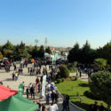 Agrarian Business Festival Was Held In Gazakh
